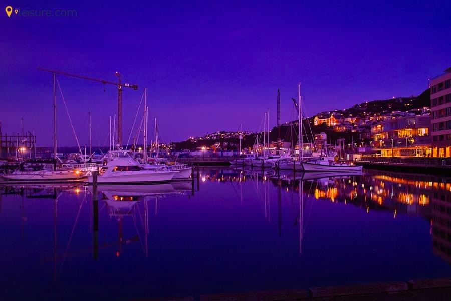 New Zealand Tour sedf