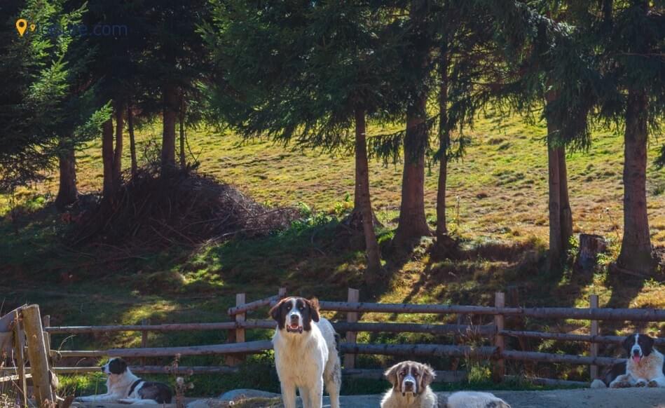  European Vacation Ideas df