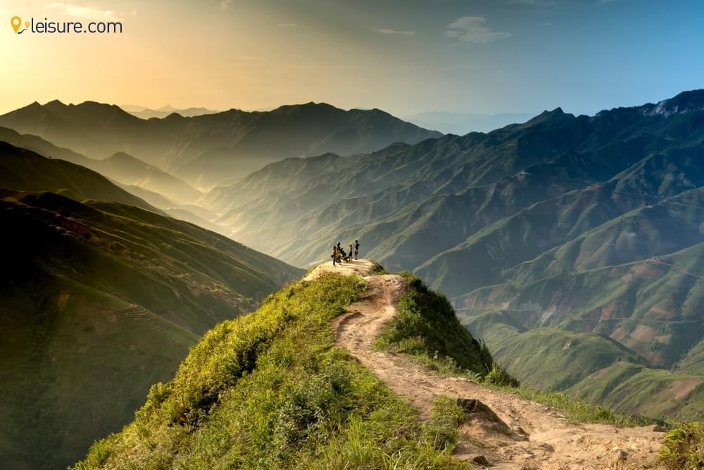 Take A Survey To New World d