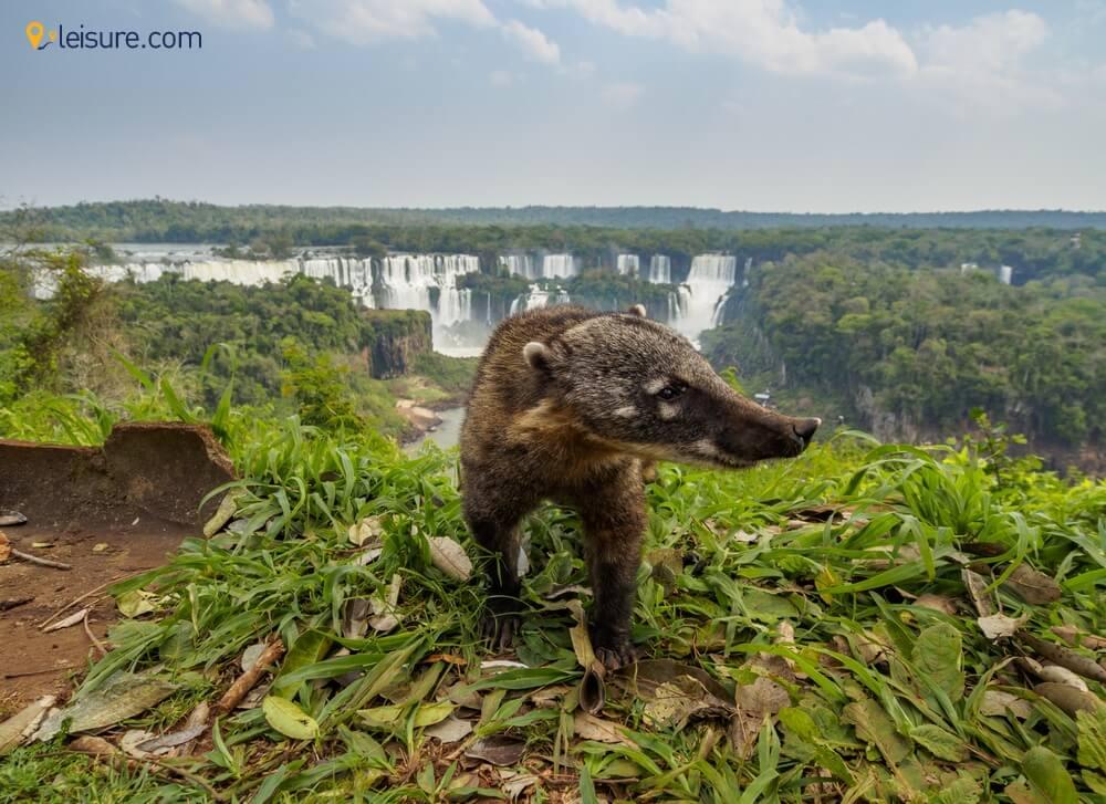  Argentina, Antarctica & Chile df