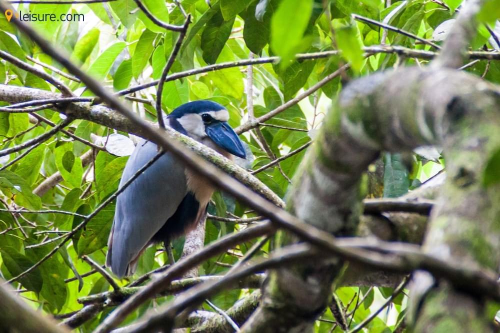 Belize With This Tour Guide